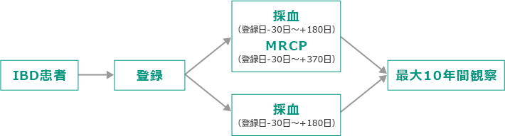 全体の流れ
