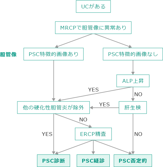 PSC診断のフローチャート